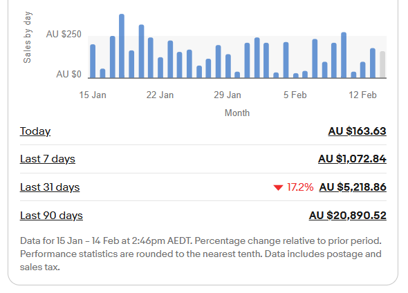 Hajira's eBay store performance